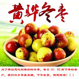 海興郵政 滄州黃驊冬棗3斤包郵 皮薄肉脆 甘甜清香 京津冀拍下多送2斤圖片大全 郵樂官方網(wǎng)站