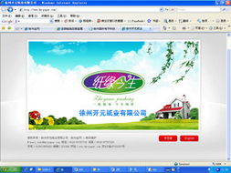 徐州金網 打造全方位的數字化解決方案專家